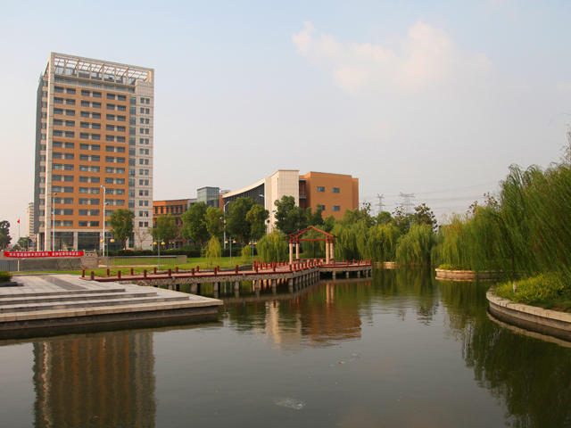 小河垂柳